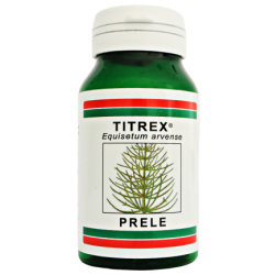 TITREX Prêle | Reminéralisation et Renforcement Osseux
